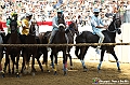 VBS_1026 - Palio di Asti 2024